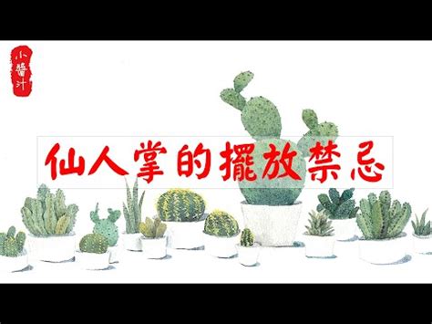 仙人掌風水陽台|仙人掌後陽台擺放攻略